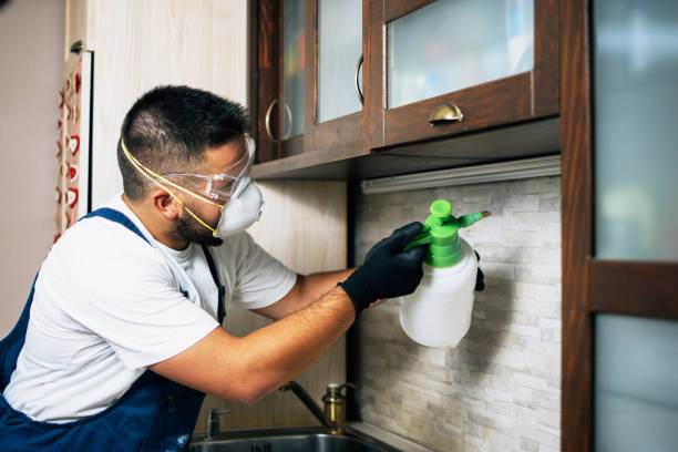 Best Bed Bug Extermination  in Beaverton, OR