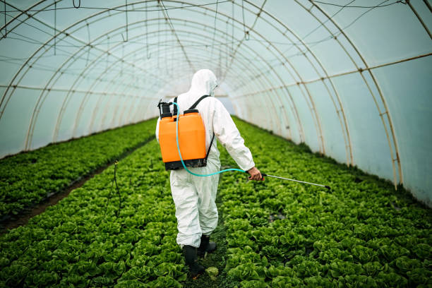 Best Pest Removal Services  in Beaverton, OR