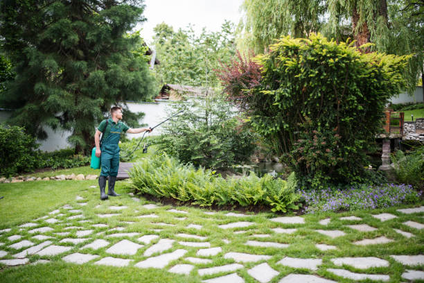 Best Flea Control Services  in Beaverton, OR
