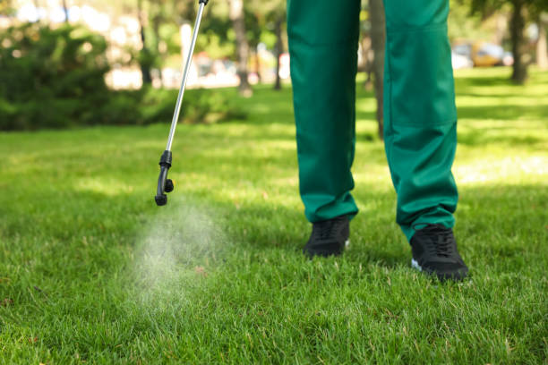 Best Rat Extermination Near Me  in Beaverton, OR
