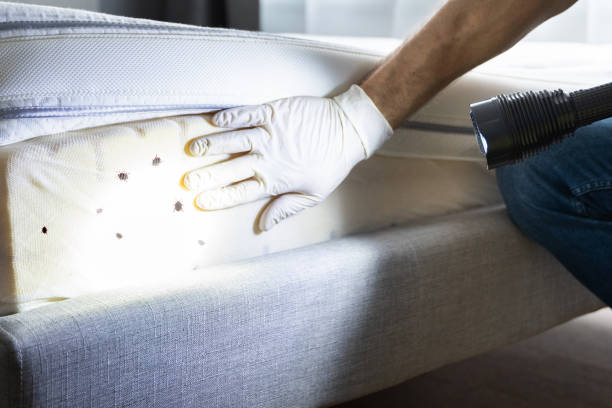 Best Best Pest Control Companies  in Beaverton, OR