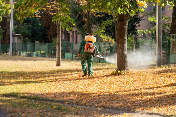 Wildlife Control Services in Beaverton, OR