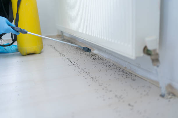 Best Bed Bug Extermination  in Beaverton, OR