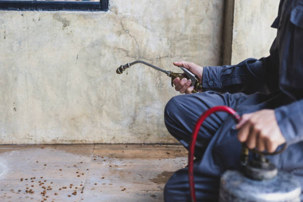Best Exterminator Services  in Beaverton, OR